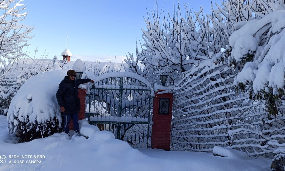 Rose Cottage, Hartola主图