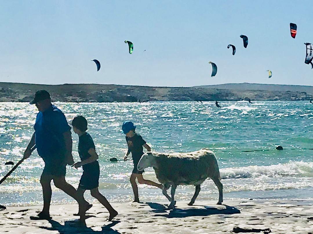 Langebaan Lagoon-兰吉班必去景点