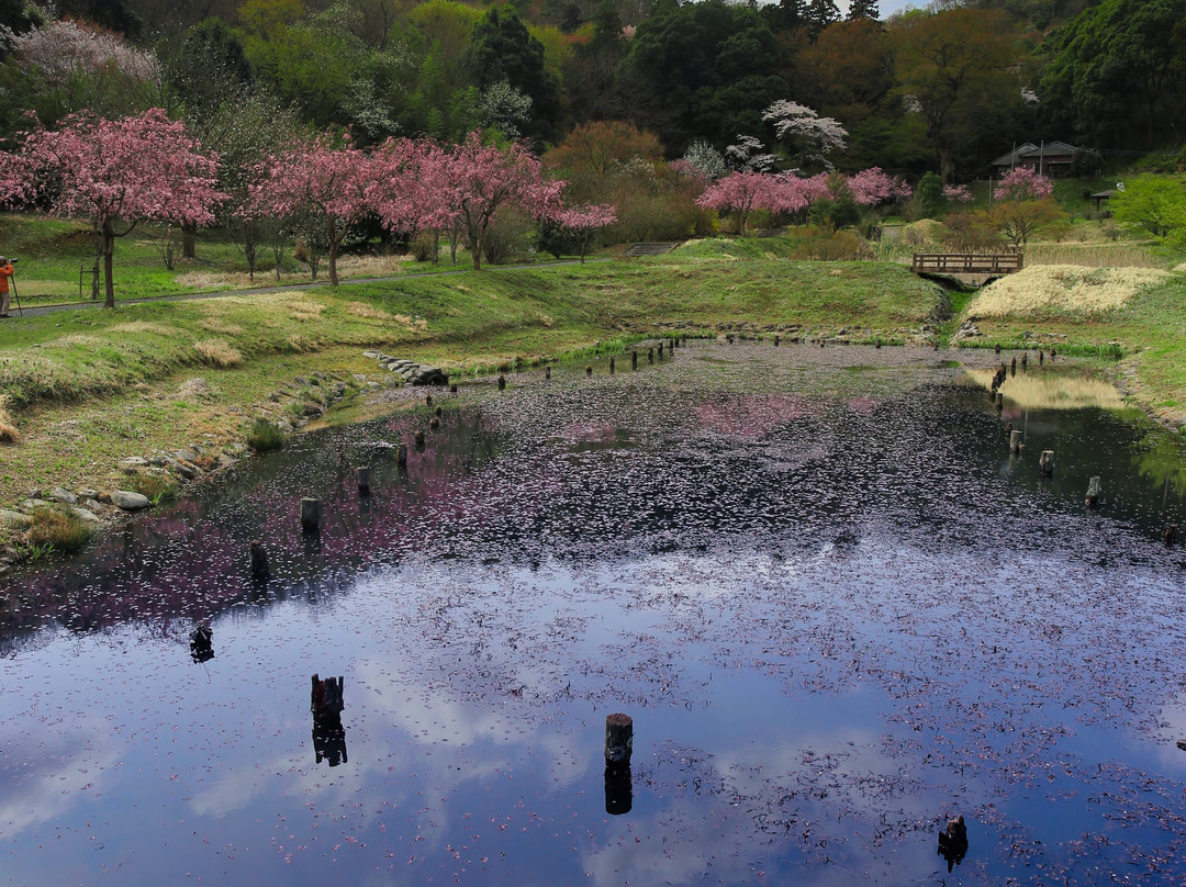 Bussho-Ji Temple-真冈市必去景点
