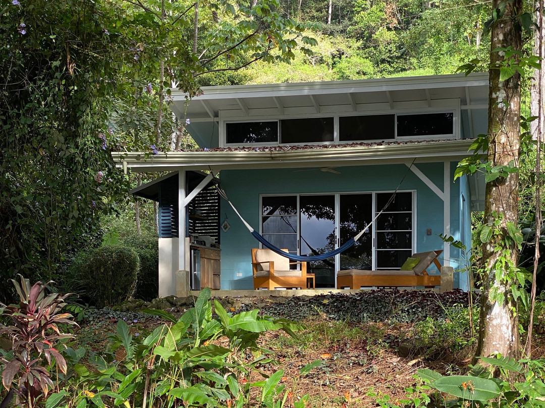 Tree of Life Cabinas主图