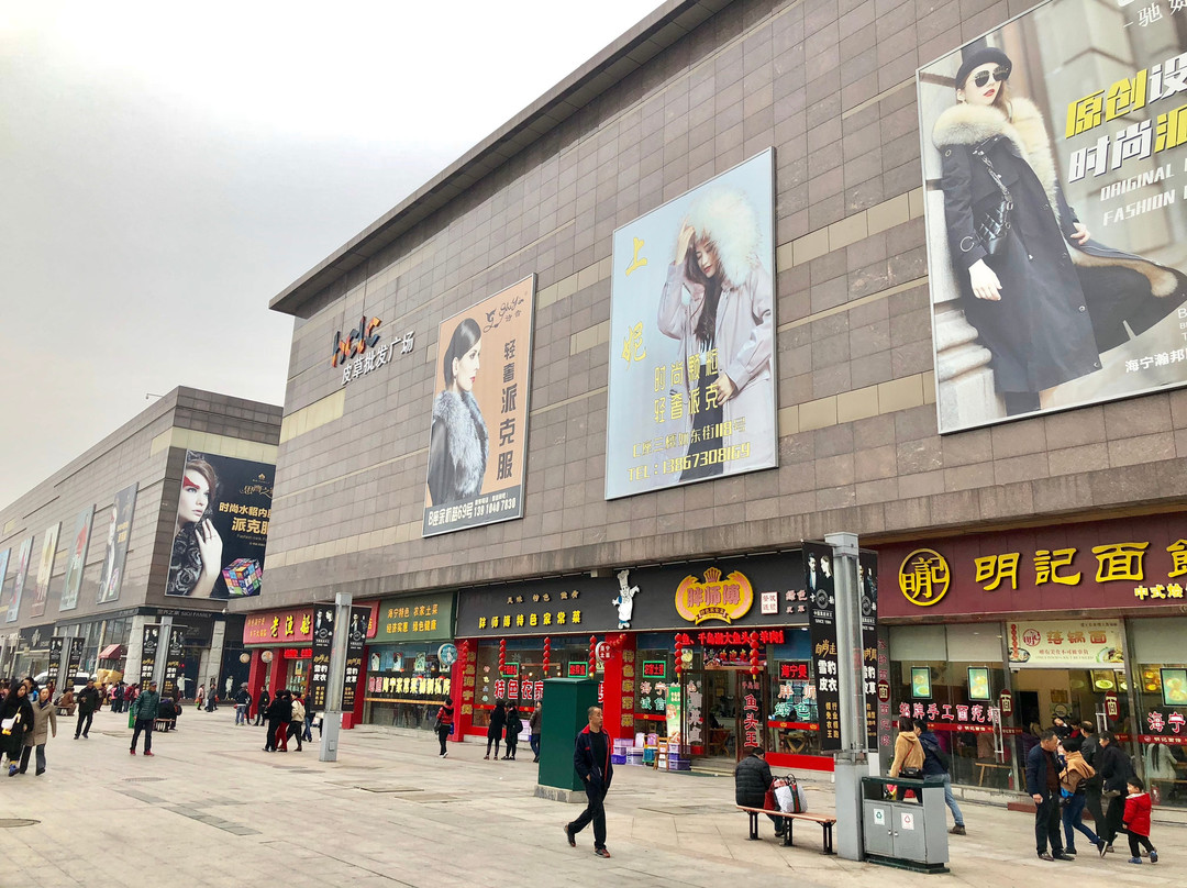 海宁中国皮革城景点图片