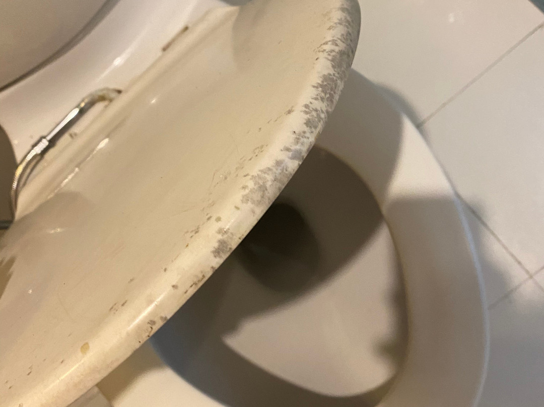 Sinduri酒店住宿-Sattva Retreat