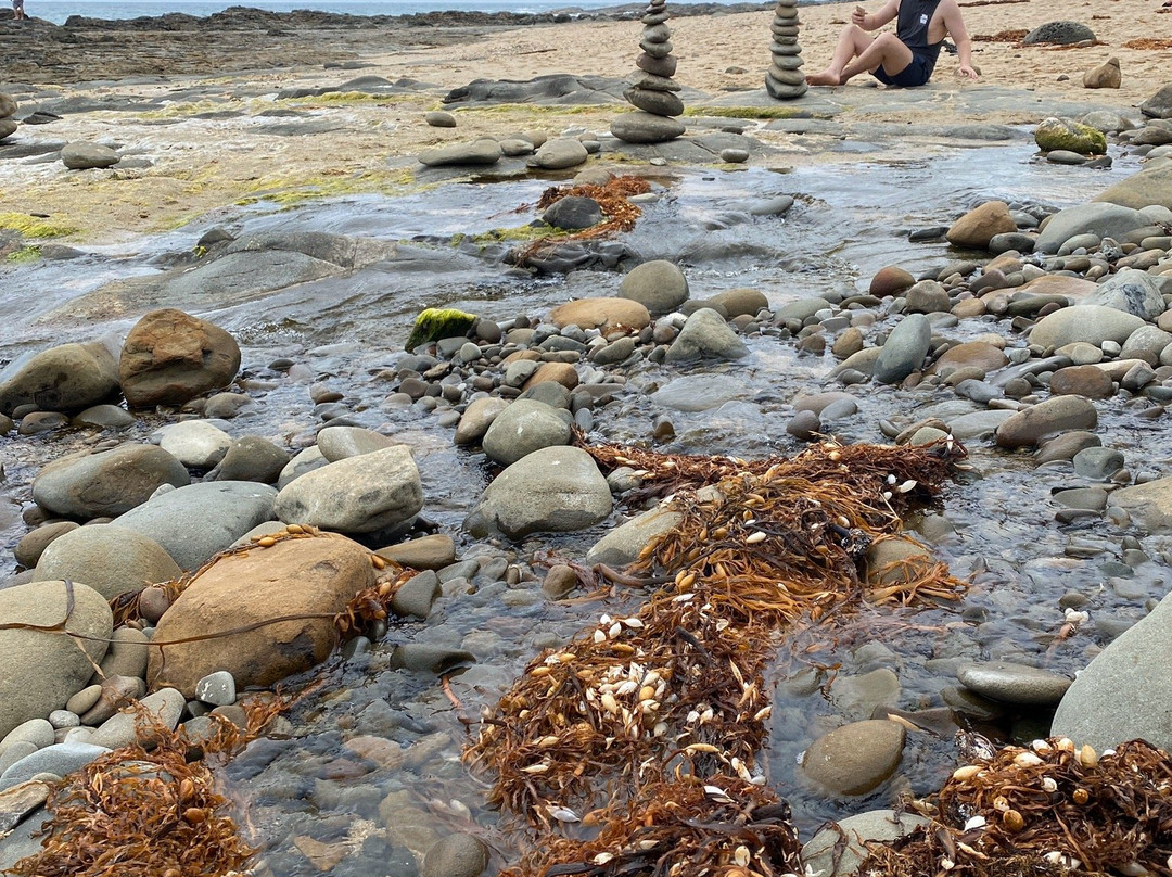 Carisbrook Creek-Wongarra必去景点