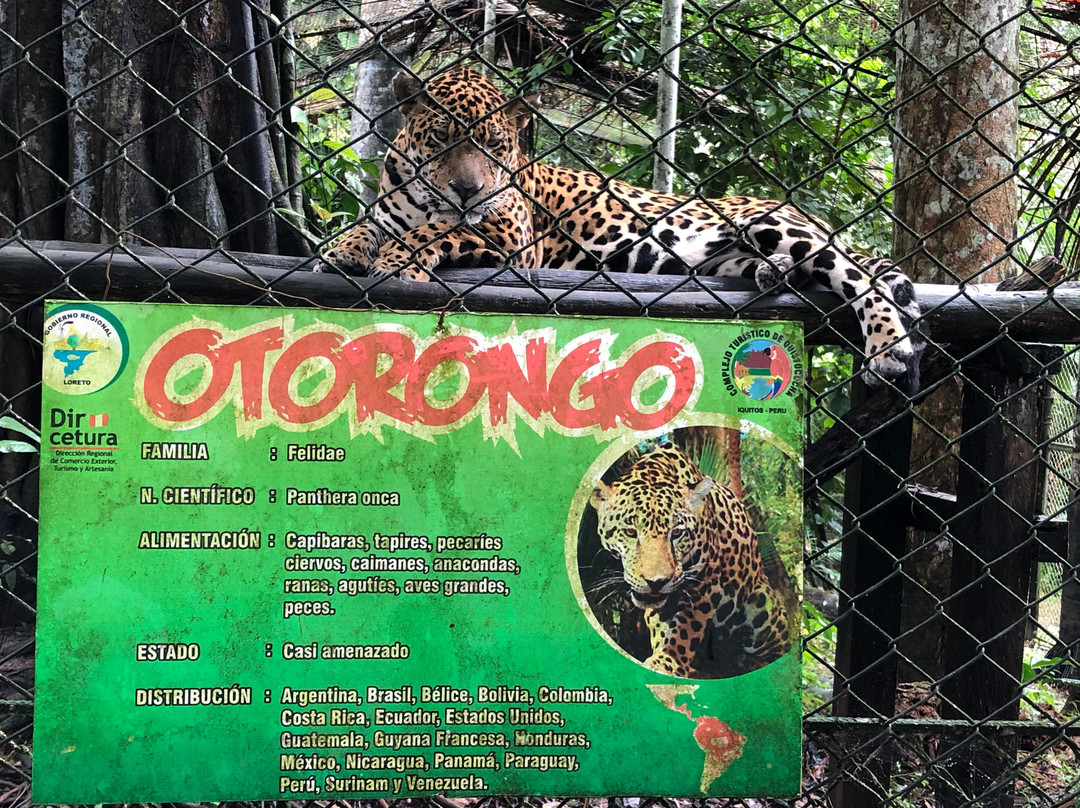 Quistococha Zoo景点图片