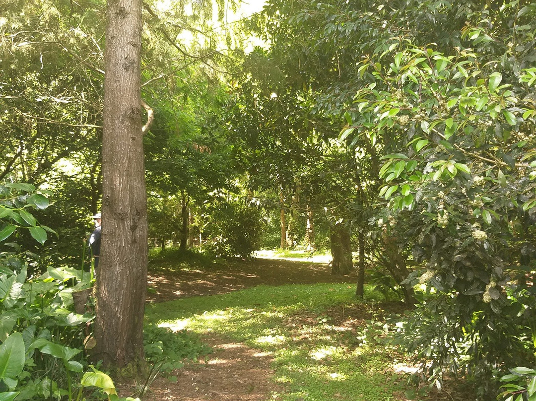 Bledisloe Park Walk景点图片