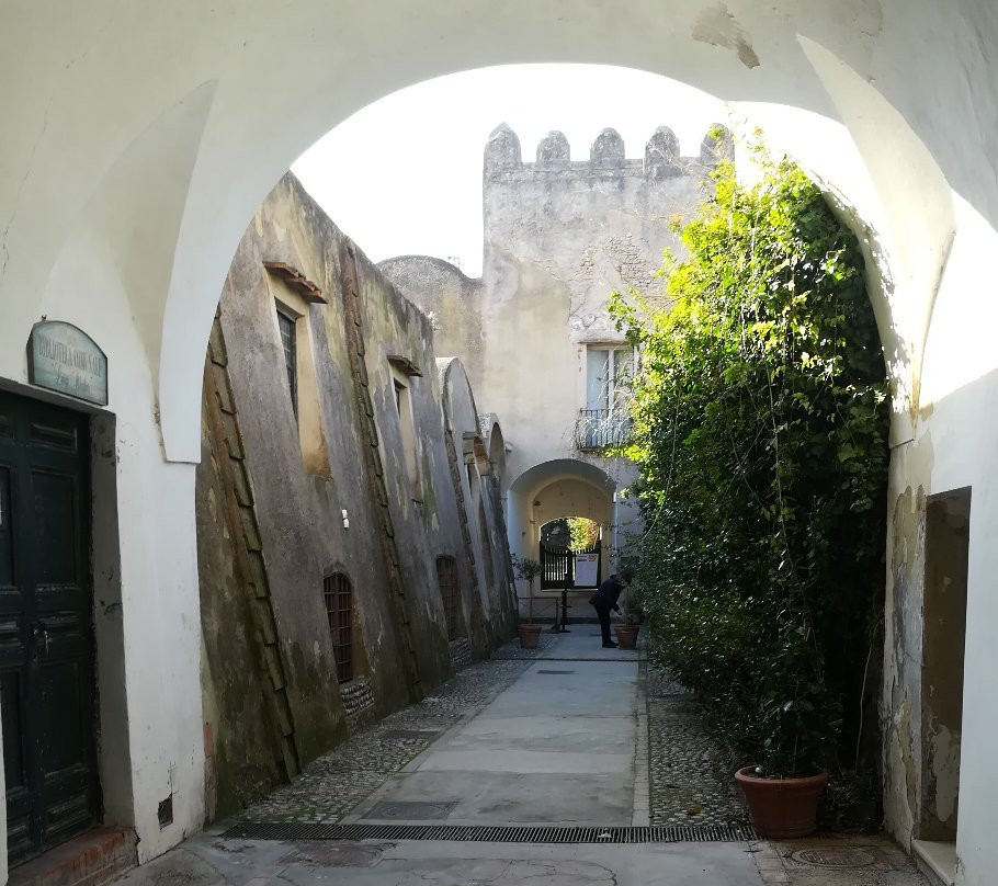 Museo Ignazio Cerio-卡碧岛必去景点