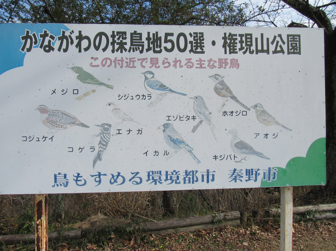 Mt. Gongen-秦野市必去景点