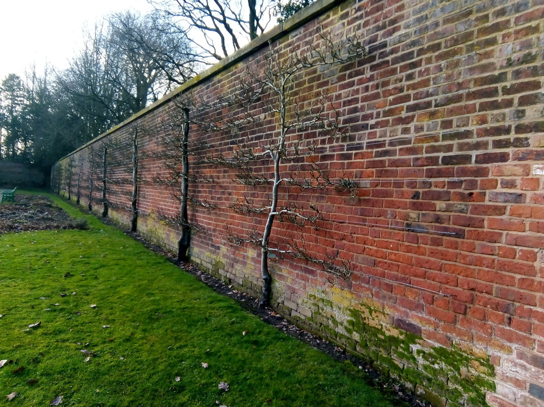 Grappenhall Heys Walled Garden景点图片