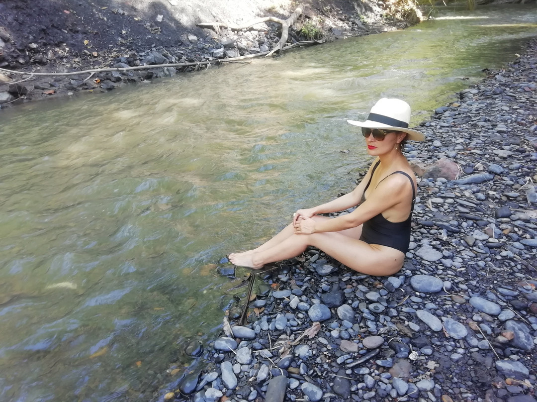 Hotel La Selva Agroecologica主图