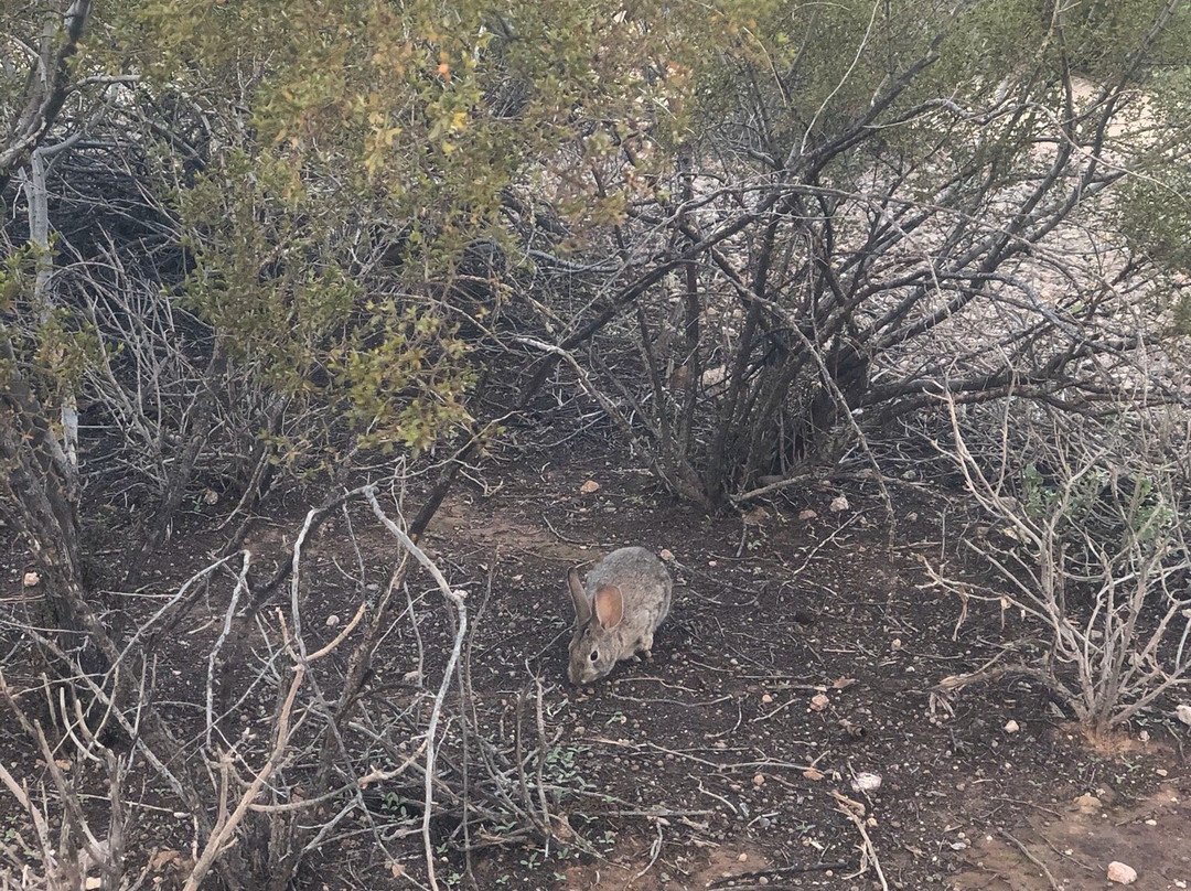 Veterans Oasis Park-钱德勒必去景点