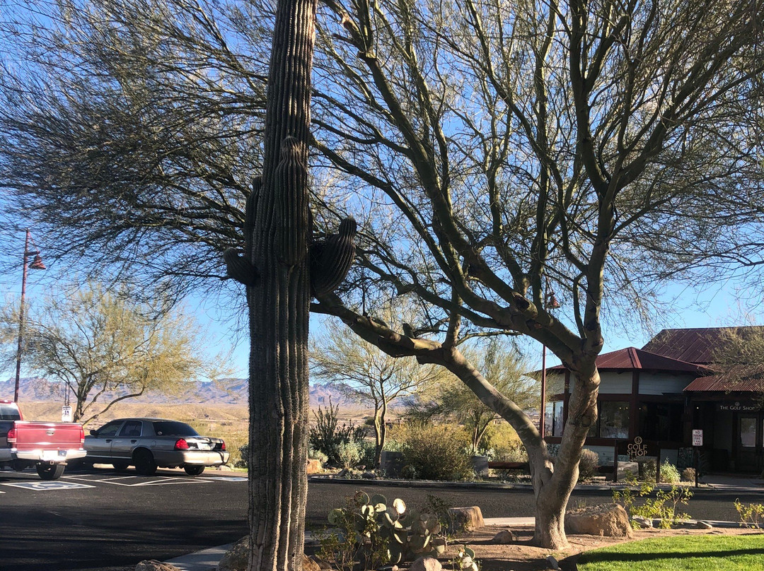 Laughlin Ranch Golf Club-Bullhead City必去景点