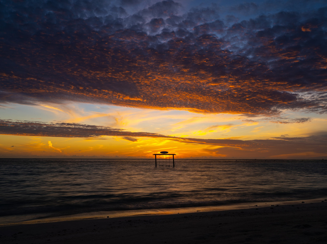 Gurus Maldives主图