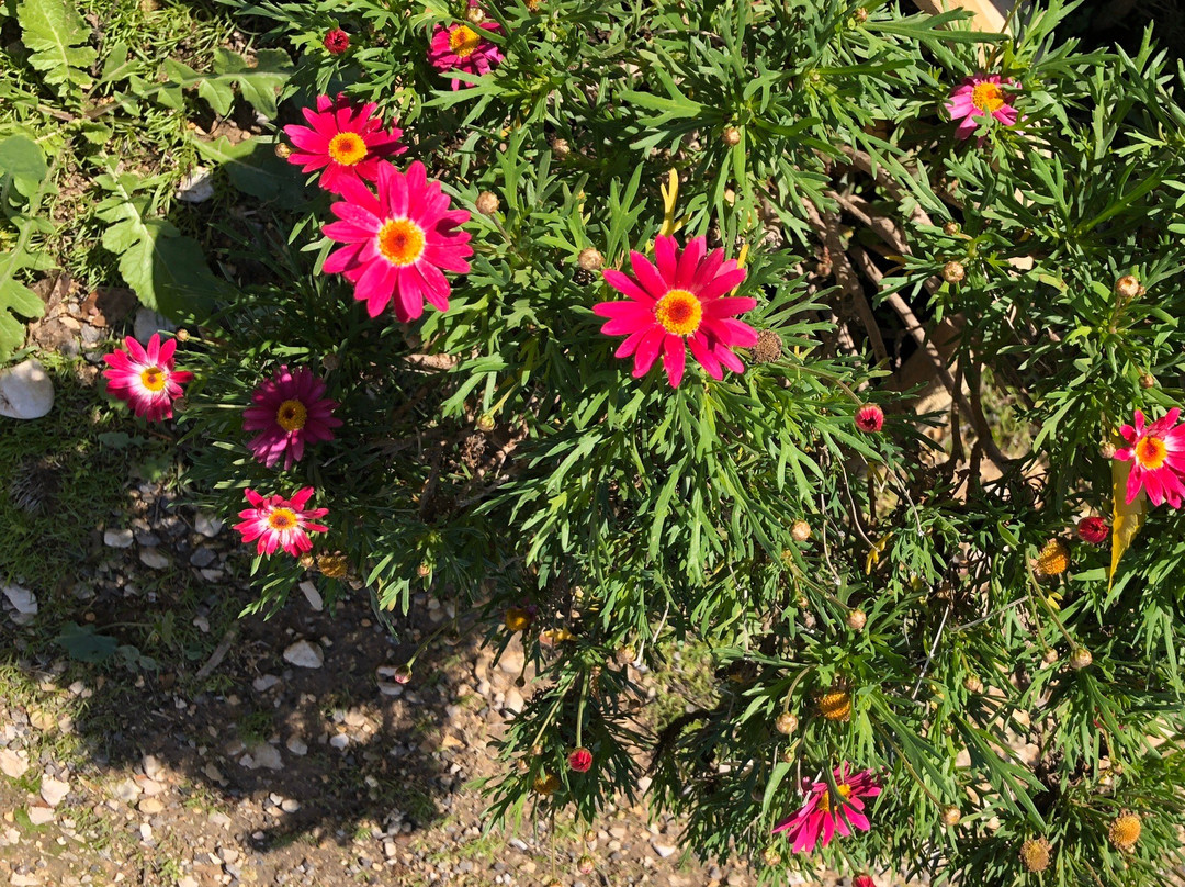 Iza Pziza Dairy-Tal Shahar必去景点