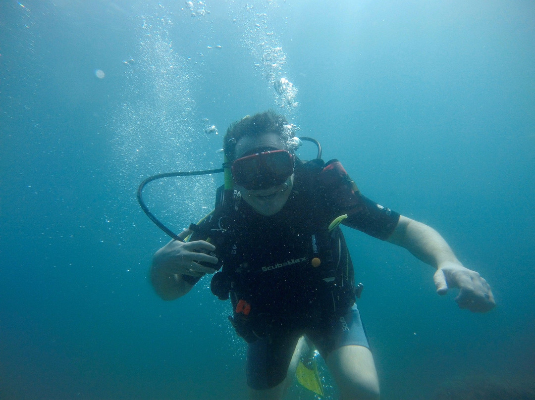 Deep Blue Diving Adventures-Playas del Coco必去景点