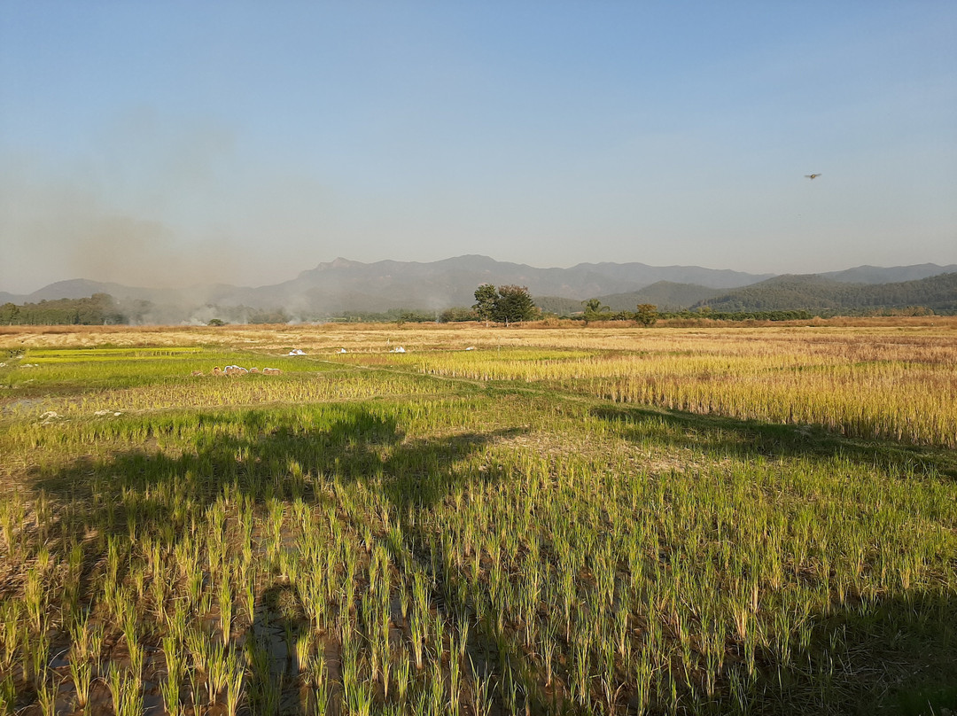 Banthi Tour景点图片