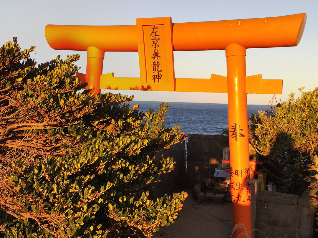 Sakyobana-壹岐市必去景点