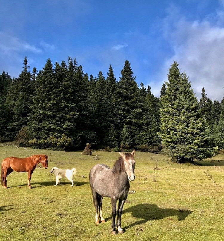 Katafygio-Oiti-Panourgias必去景点