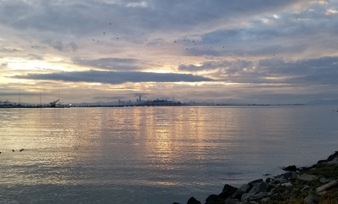 Safe Harbor Emeryville-埃默里维尔必去景点