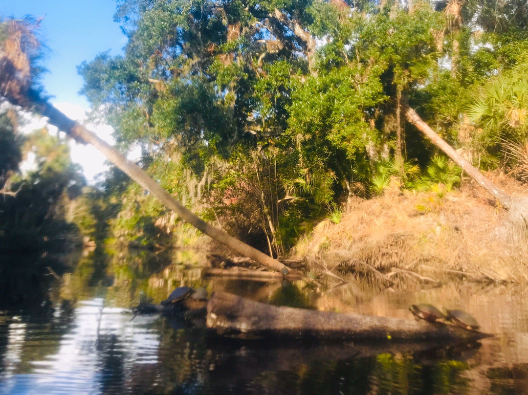 Paddling Paradise景点图片