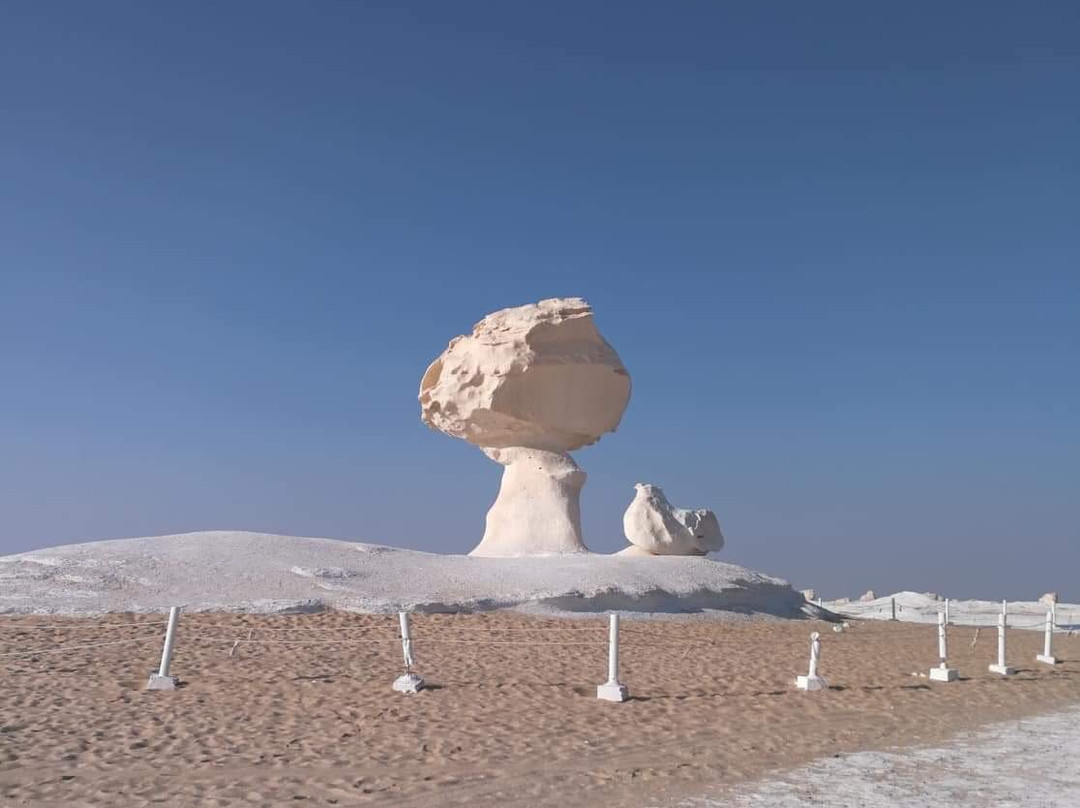 Bahariya Oasis Guide-Bawiti必去景点