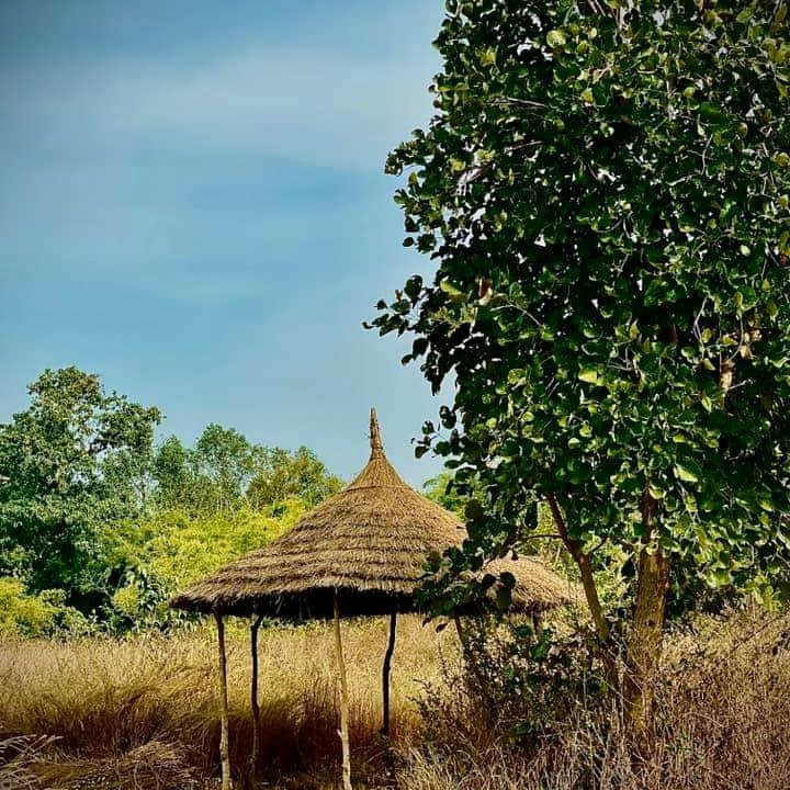 The Tiger Valley Resort主图