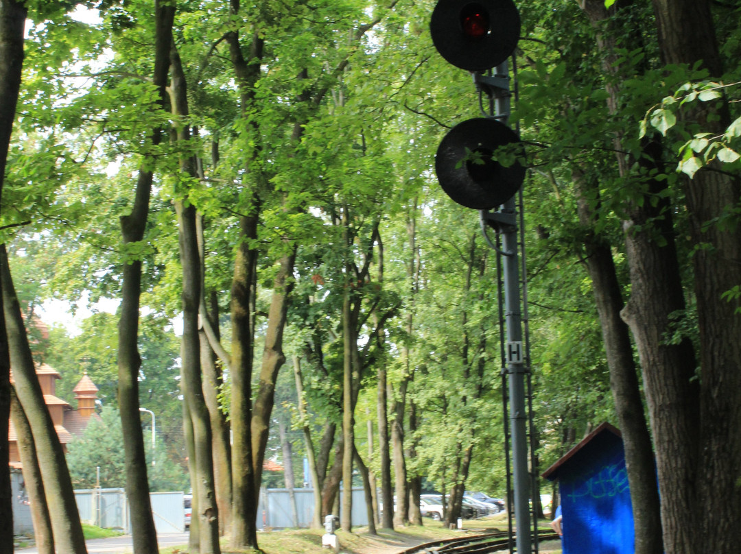 Stryisky Park-利沃夫必去景点