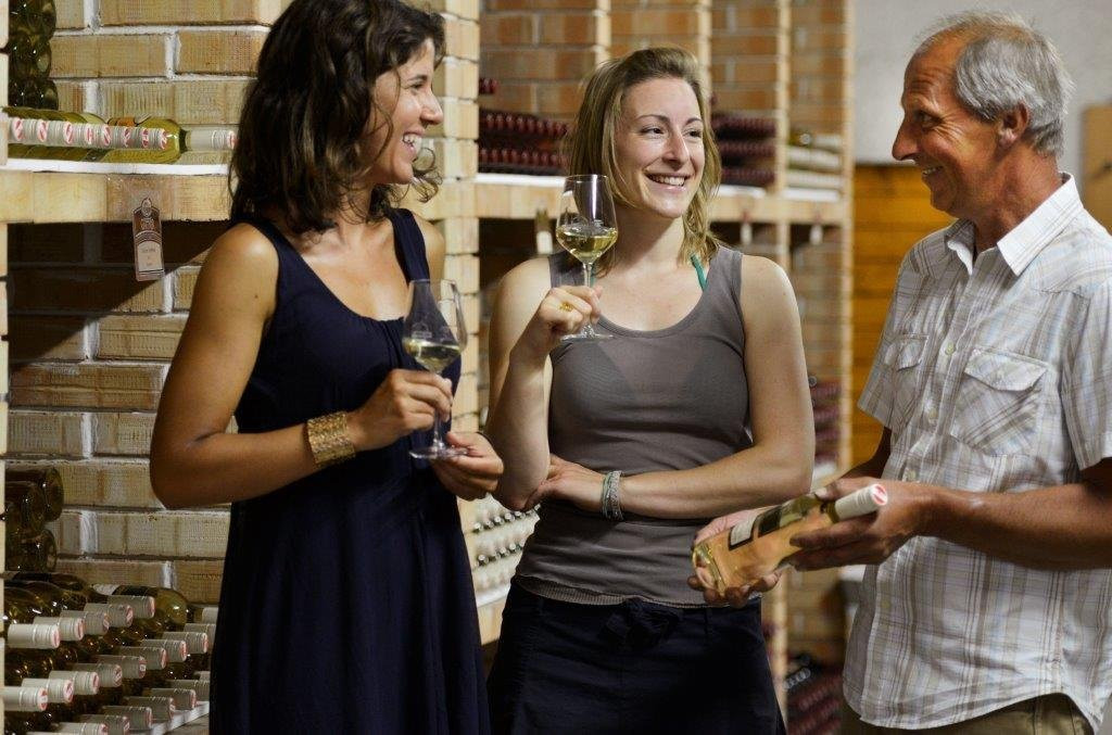 Weingut-Gästehaus Nationalpark-Hof Gartner主图