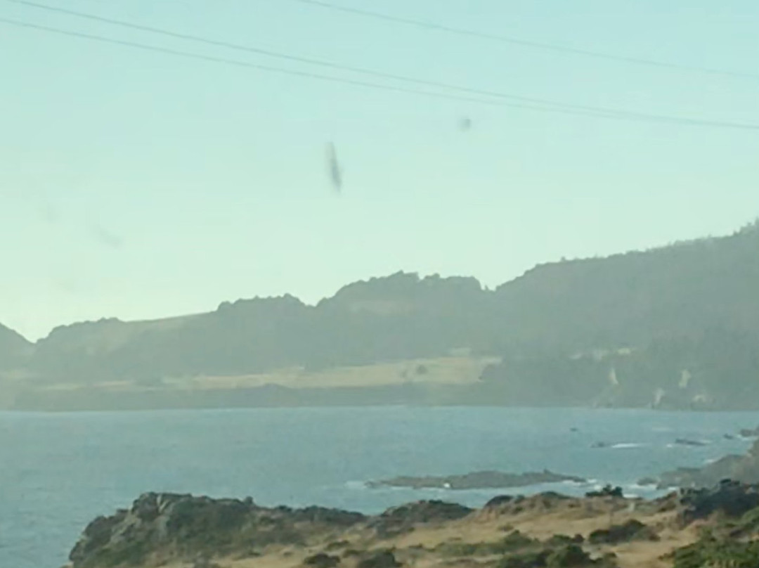 Sonoma Coast State Beach景点图片