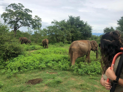 Ravana Taxi & Tours Ella-埃勒必去景点