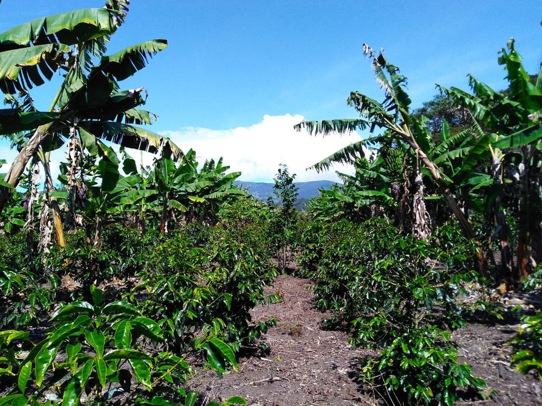 Willka Eco Lodge主图