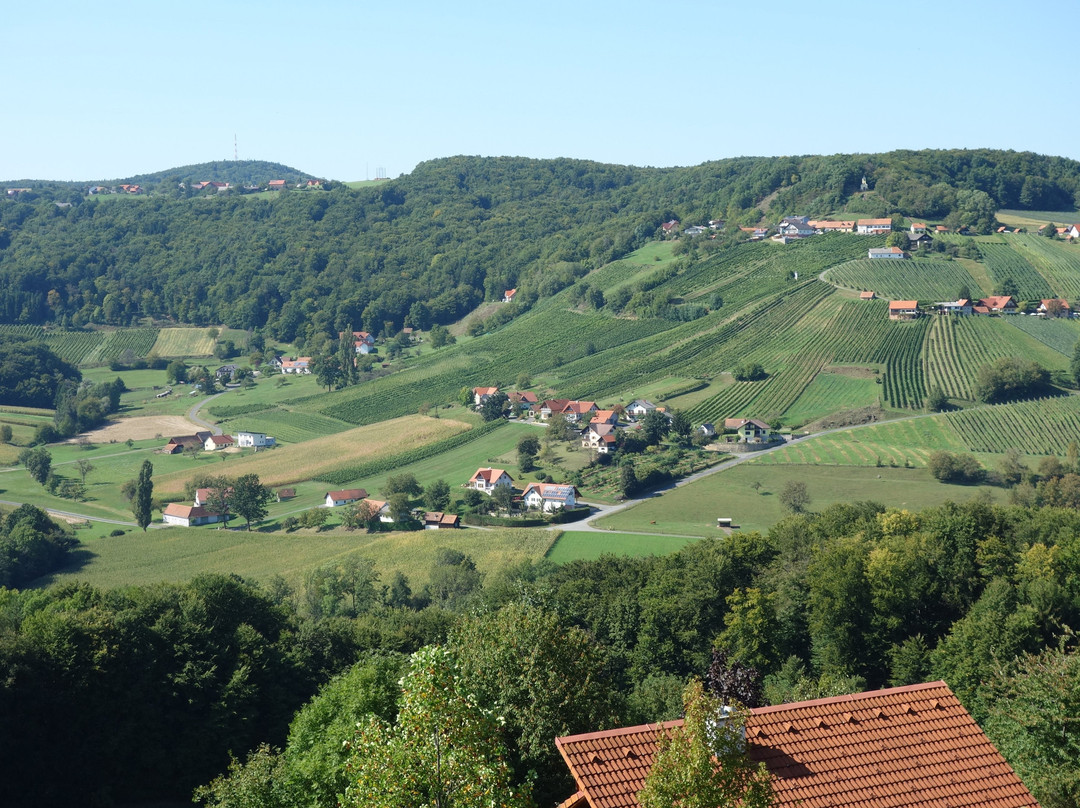 Gesamtsteirische Vinothek景点图片