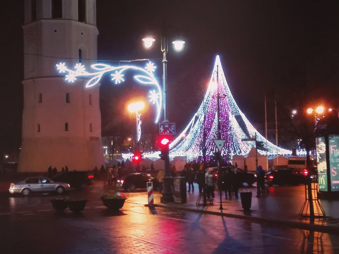 Vilnius Cathedral Square-维尔纽斯必去景点