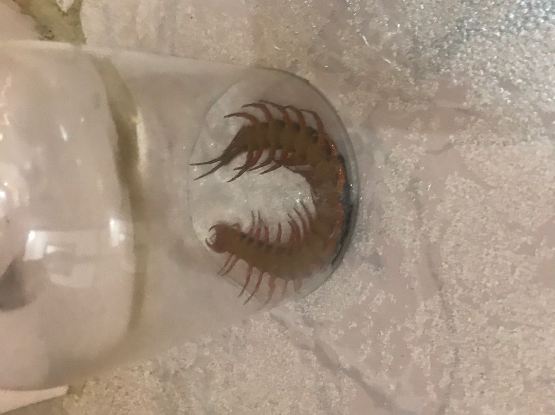 L 海洋酒店主图