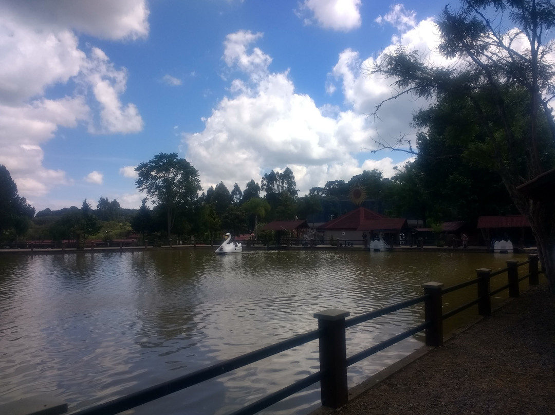 Piazito Park Hotel主图