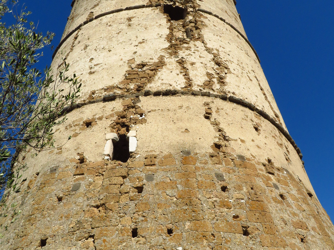 Torre Artus景点图片