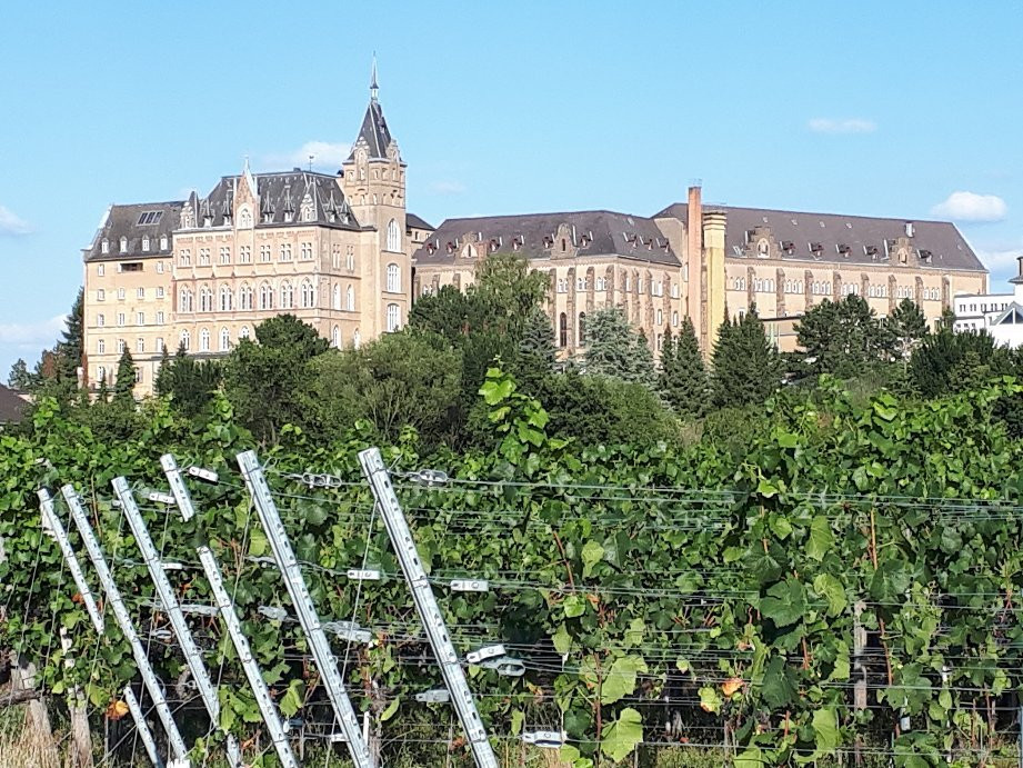 Hotel Aennchen主图