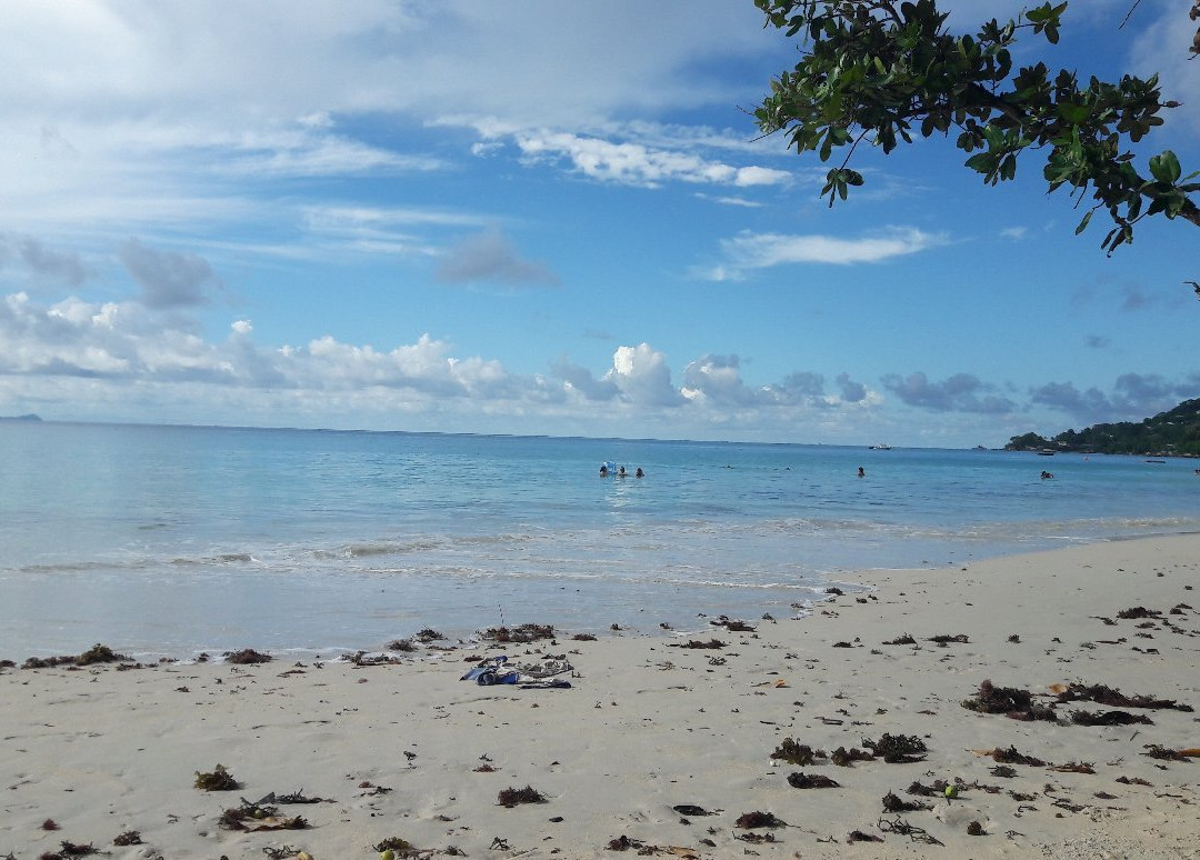 Dive Seychelles Underwater Centre景点图片