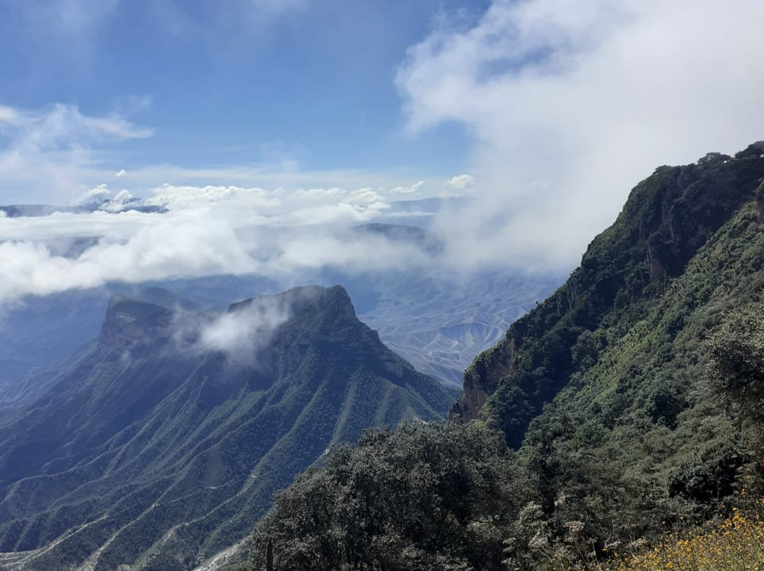 Mirador Cuatro Palos景点图片