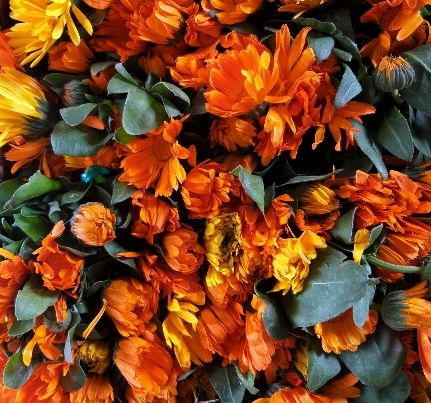 Plaza de Mercado Paloquemao-波哥大必去景点