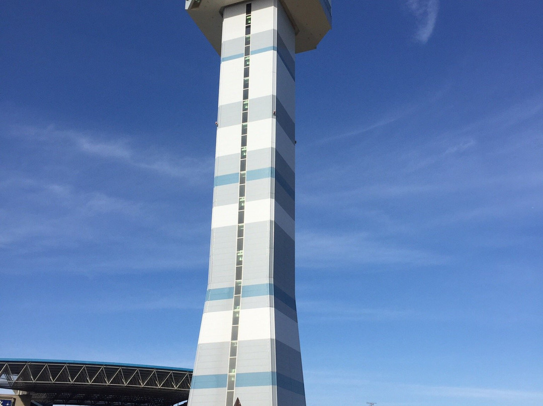 Mizu to Midori no Yakata Observation Tower-海津市必去景点