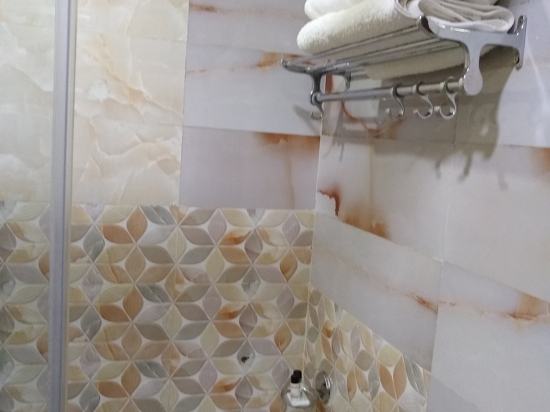 Hotel Shivanand Palace主图