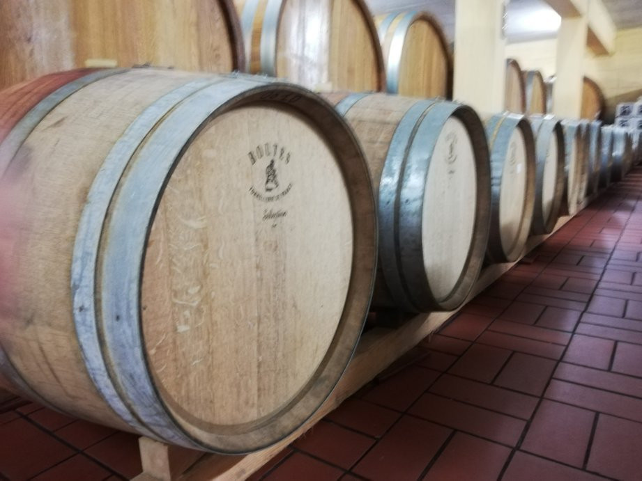 Cantina Fratelli Pardi景点图片