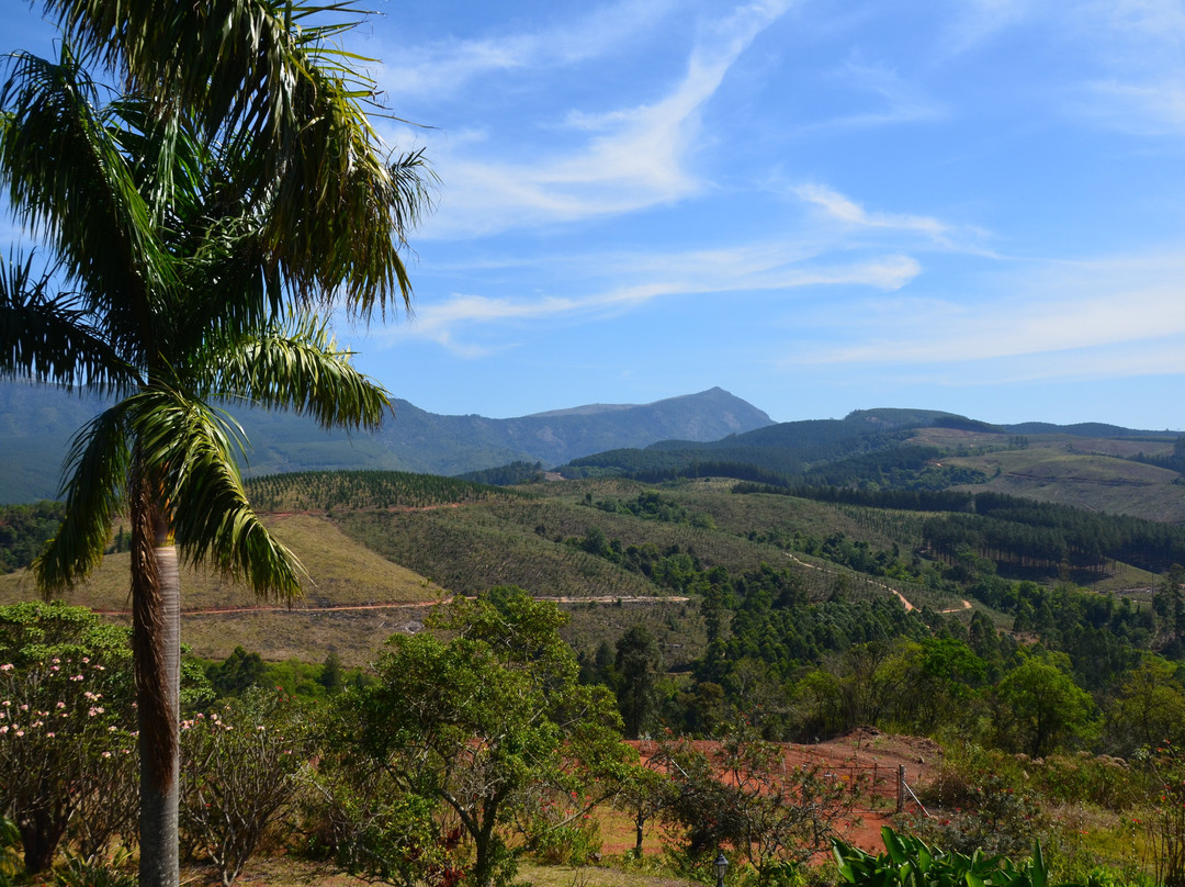 Granny Dot's Country Spot主图