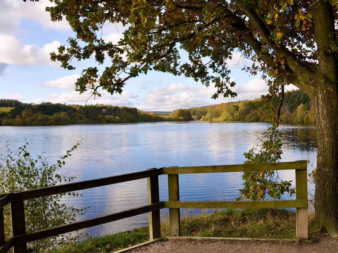 Swinsty Reservoir景点图片