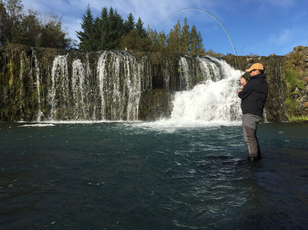 Go Fishing Iceland-科帕伏古必去景点