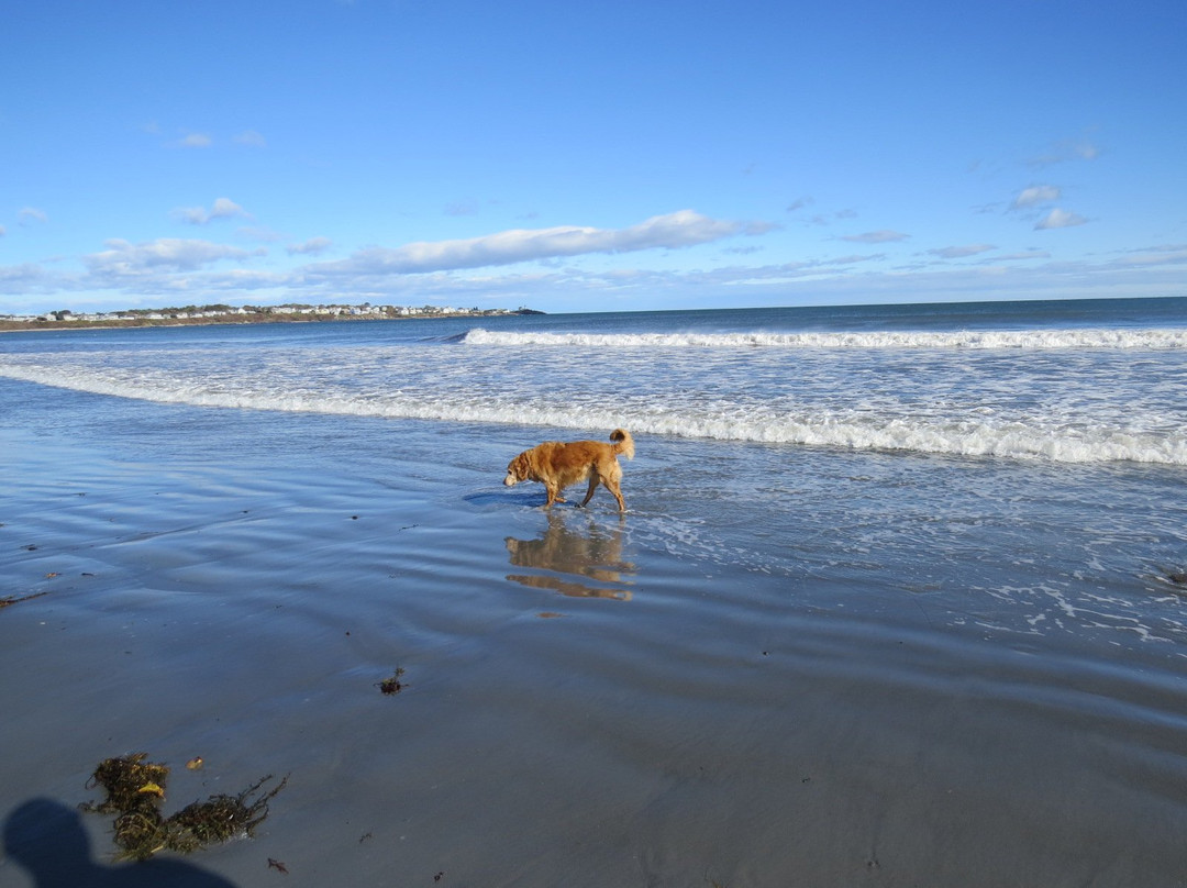 Long Sands Beach景点图片