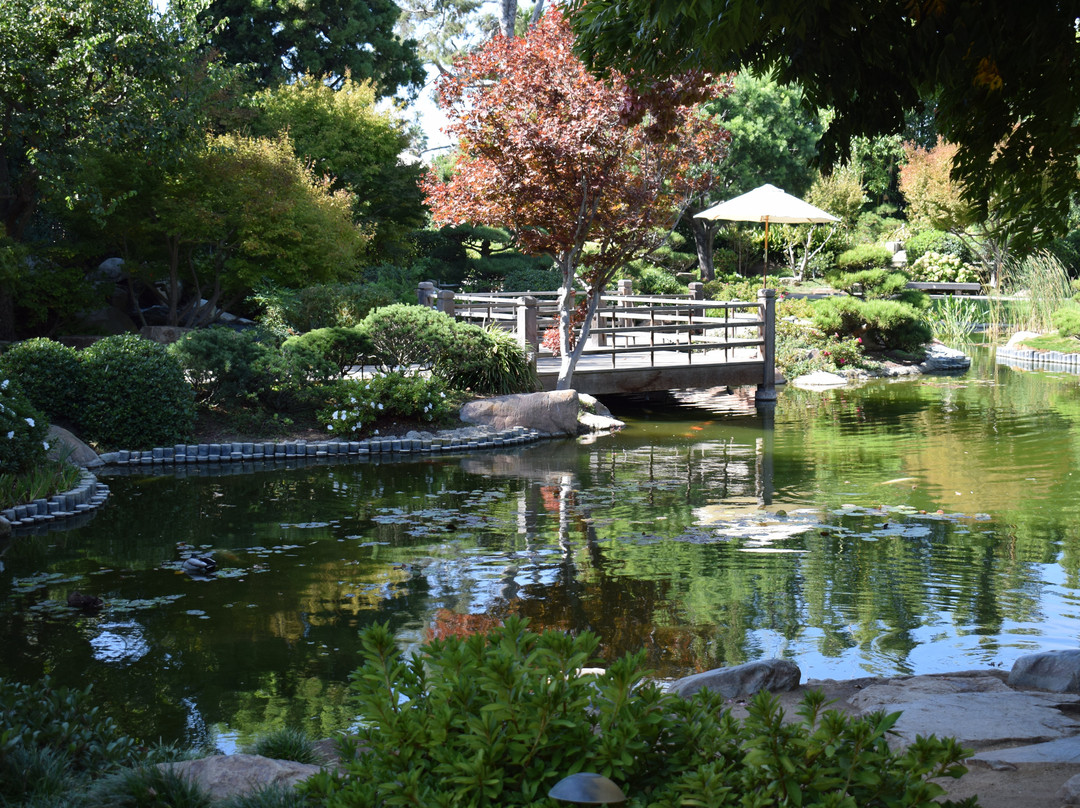 Earl Burns Miller Japanese Garden-长滩必去景点