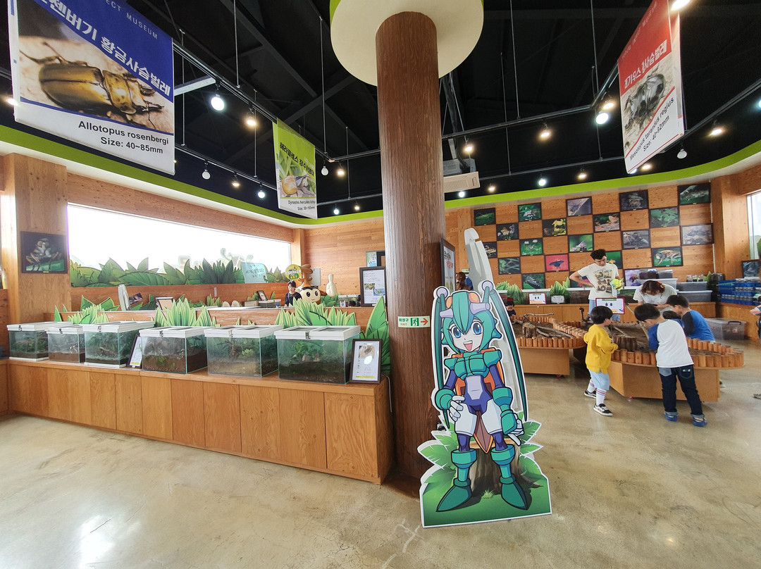 骊州郡旅游景点-Yeoju Insect Museum