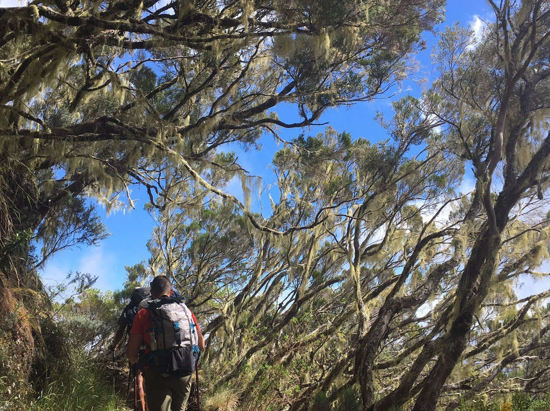 Samaran Trekking-Mafate必去景点