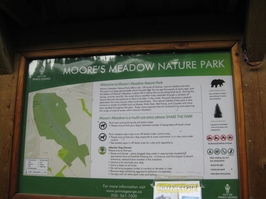 Moore's Meadow Park景点图片